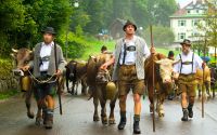Kultur im Allgäu